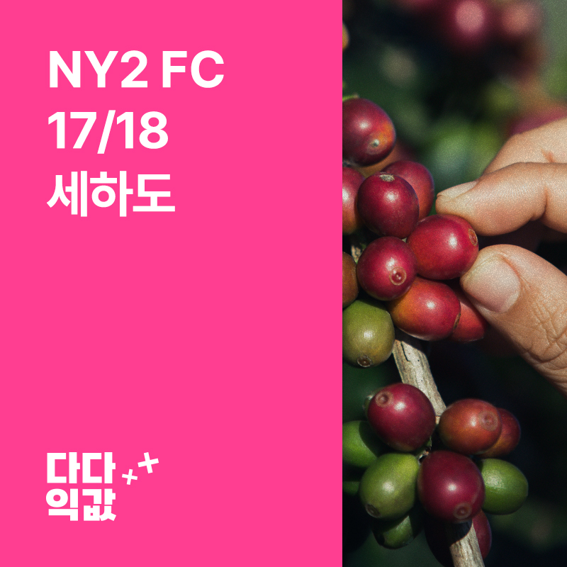 다다익값 브라질 NY2 FC 17/18 세하도