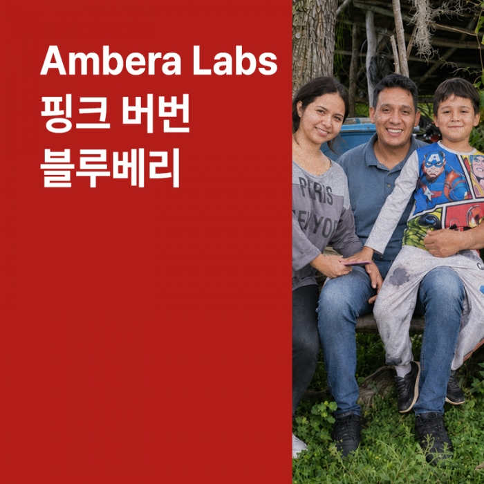 콜롬비아 암베라 랩스 프로젝트 핑크 버번 코퍼멘티드 블루베리