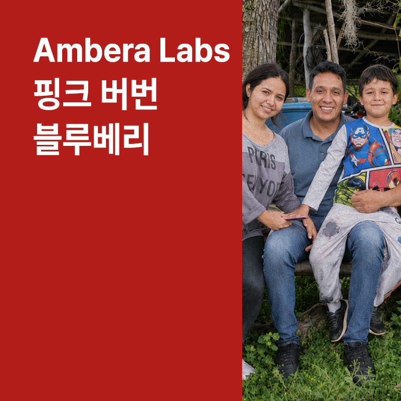 콜롬비아 암베라 랩스 프로젝트 핑크 버번 코퍼멘티드 블루베리