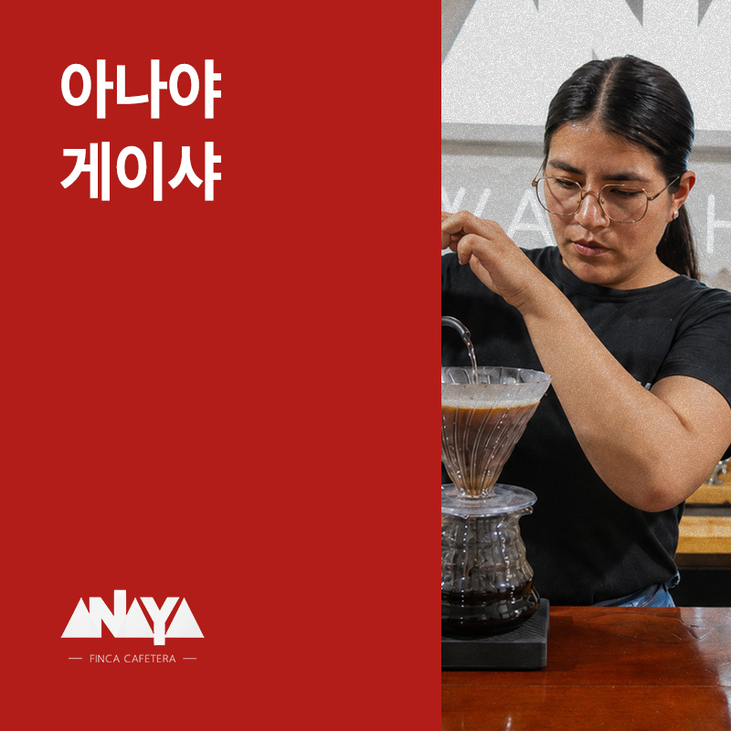 콜롬비아 아나야 게이샤 워시드
