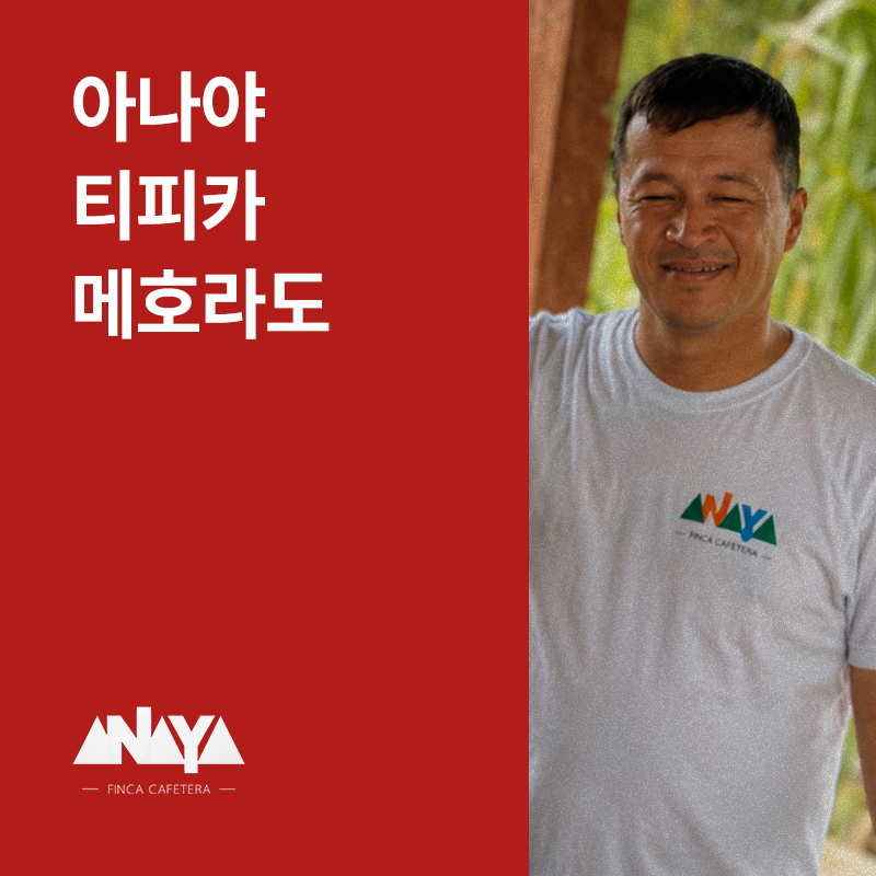 콜롬비아 아나야 티피카 메호라도 멀티스테이지 워시드