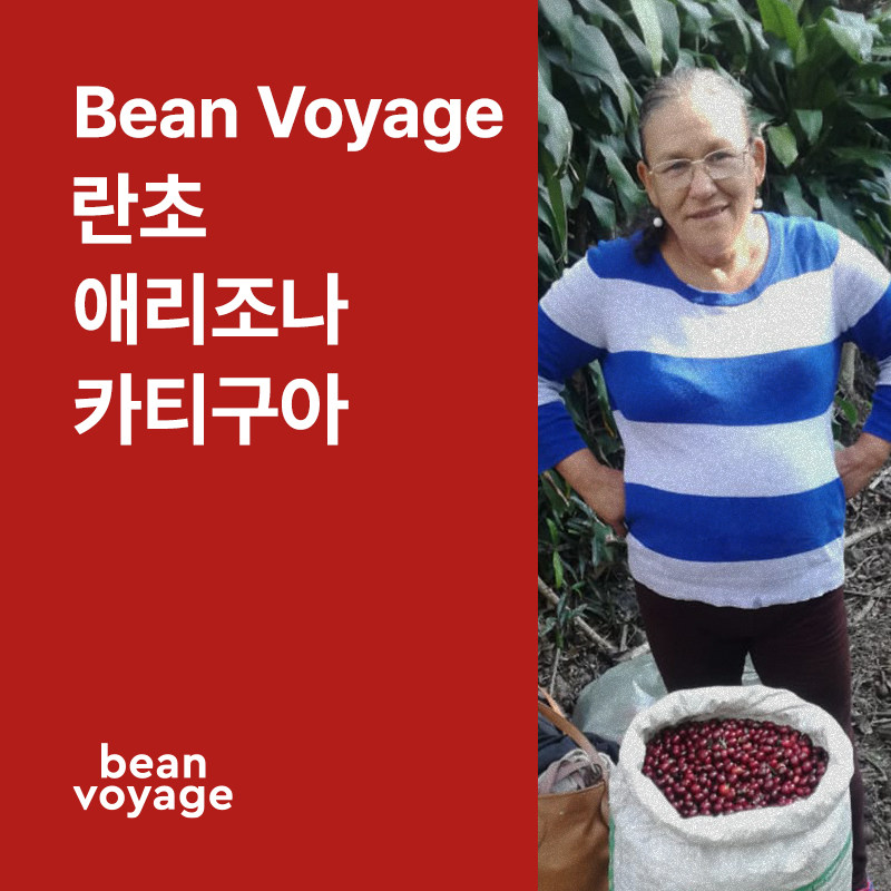 코스타리카 Bean Voyage 란초 애리조나 카티구아 워시드