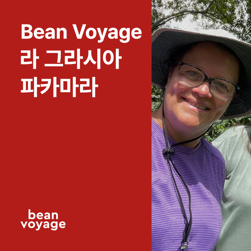 코스타리카 Bean Voyage 라 그라시아 파카마라 내추럴