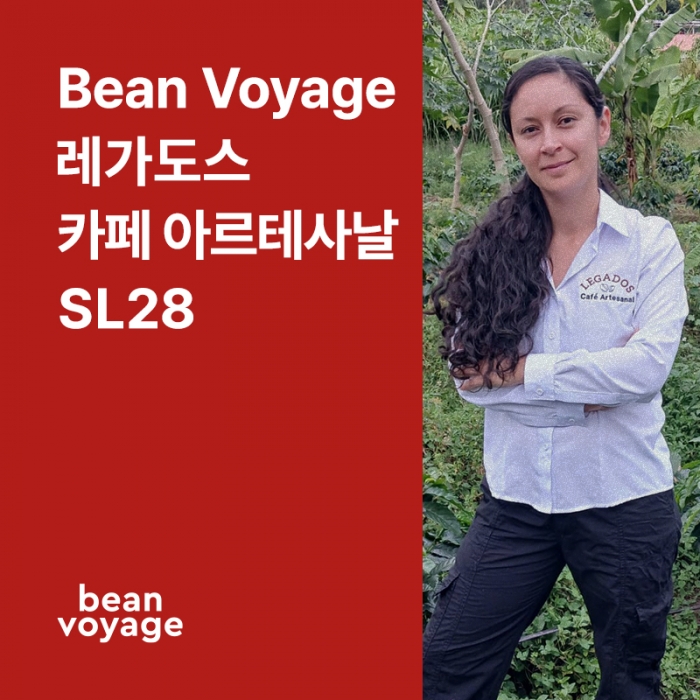 코스타리카 Bean Voyage 레가도스 카페 아르테사날 SL28 내추럴