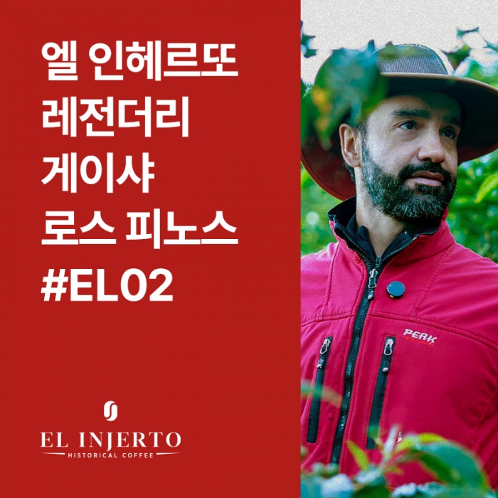 과테말라 엘 인헤르또 레전더리 게이샤 로스 피노스 #El02