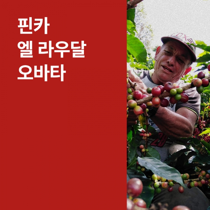 코스타리카 핀카 엘 라우달 오바타 내추럴