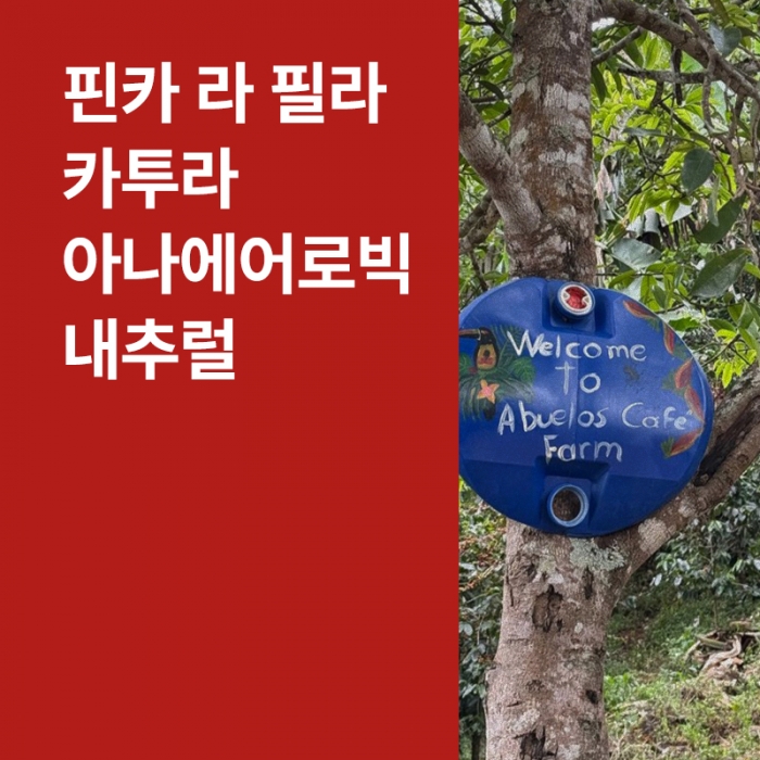 코스타리카 핀카 라 필라 카투라 아나에어로빅 내추럴