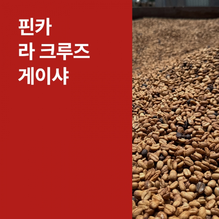 코스타리카 핀카 라 크루즈 게이샤 더블 퍼먼테이션 워시드