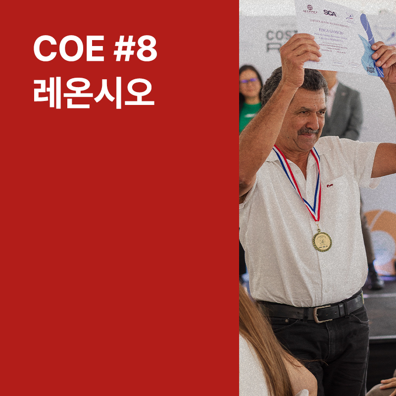 코스타리카 COE #8 레온시오 워시드