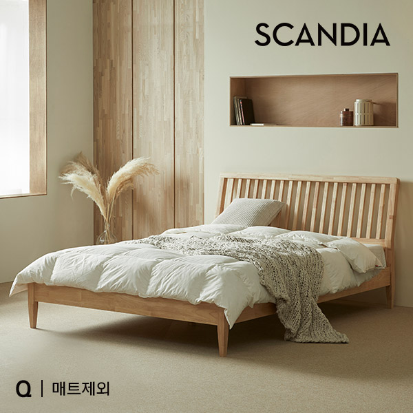 스칸디아 네이처 고무나무 원목 침대(퀸)