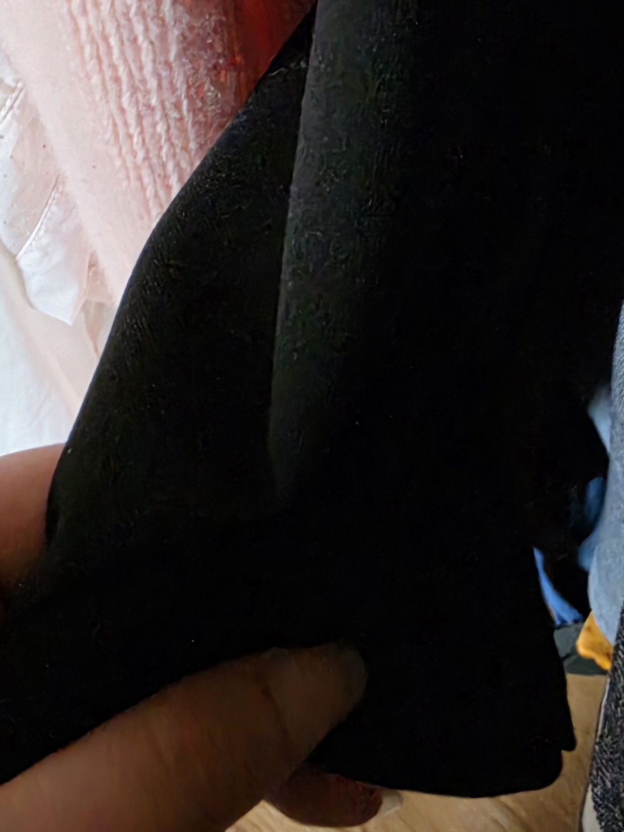 20260422_094011.jpg