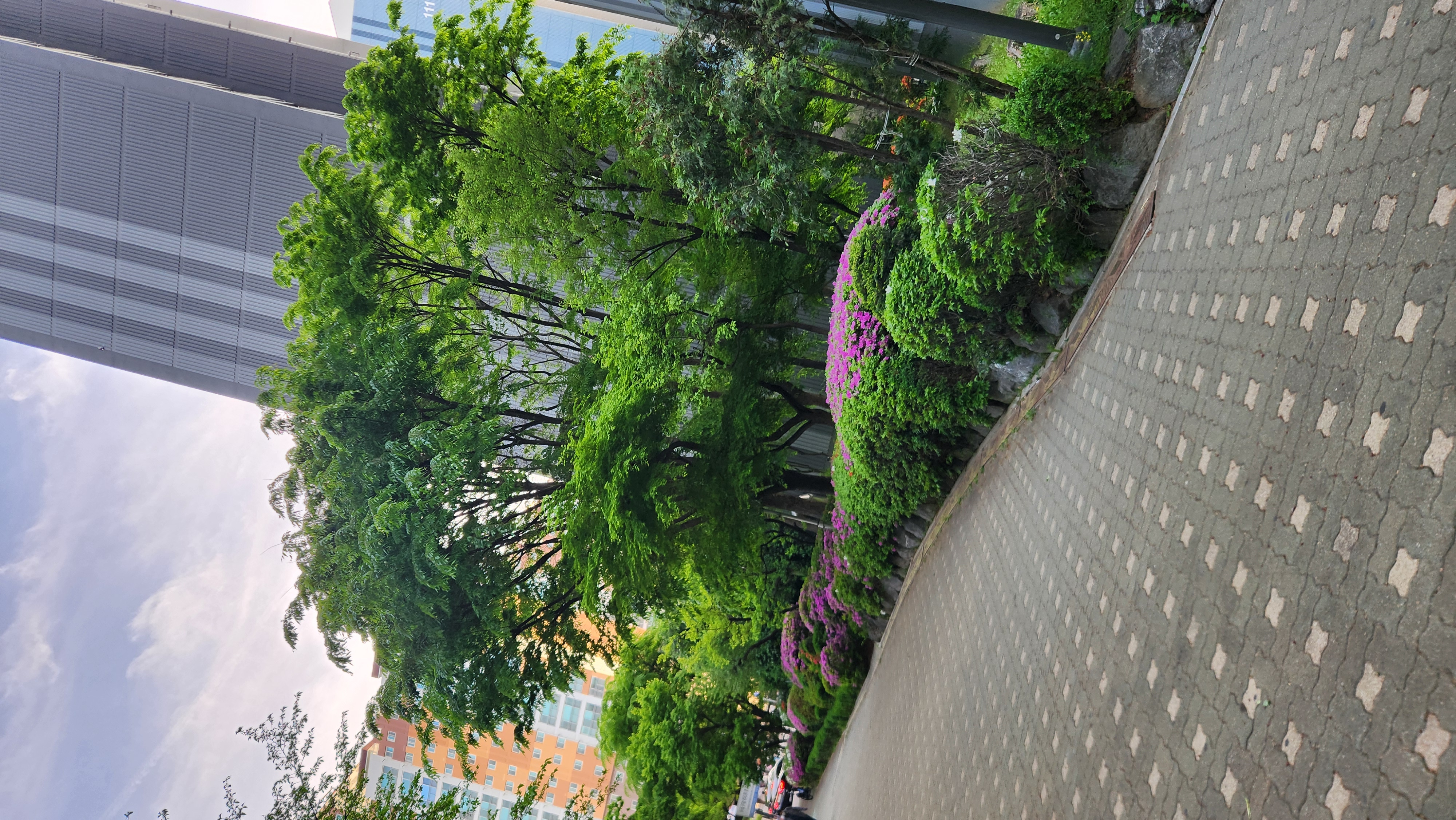 20260422_181115.jpg