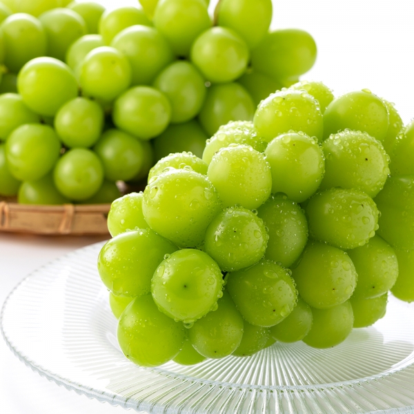 향부터 달콤한 고당도 산기슭 샤인머스켓 1kg (2-3수) (옵션다양) (무료배송)