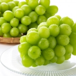 향부터 달콤한 고당도 산기슭 샤인머스켓 1kg (2-3수) (옵션다양) (무료배송)