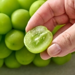 향부터 달콤한 고당도 산기슭 샤인머스켓 1kg (2-3수) (옵션다양) (무료배송)