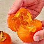 25년 첫 수확! 산지직송 고당도 씨 없는 감 청도반시 2.5kg (무료배송)