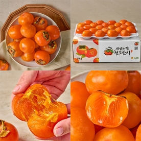 25년 첫 수확! 산지직송 고당도 씨 없는 감 청도반시 2.5kg (무료배송)