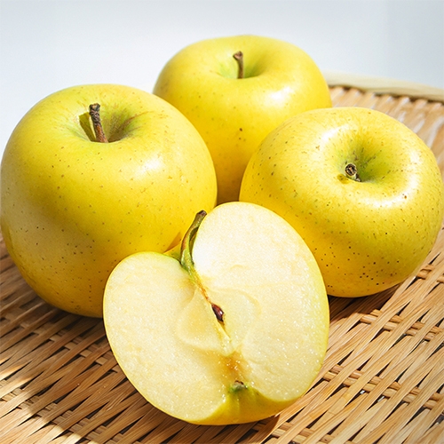 25년 첫 수확! 황금빛 고당도 시나노골드사과 2kg 소과 (무료배송)