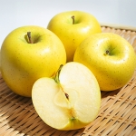 25년 첫 수확! 황금빛 고당도 시나노골드사과 2kg 소과 (무료배송)