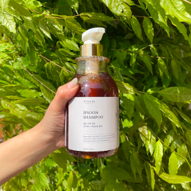 잎순 숙차샴푸 550ml / 생차샴푸 500ml x 1개 (골라담기) (무료배송)