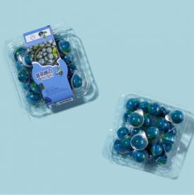 [토란s특가] [과일젤리모음] 딸기,포도,블루베리,애플망고,수박젤리 골라담기