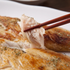 제주 고등어살 5팩 구성 (150g / 170g / 200g 중 택1) (무료배송)