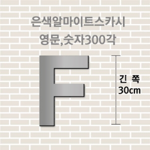 은색알마이트스카시(영문,숫자)300각 입체글자