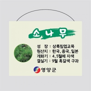 포맥스 걸이형 수목표찰