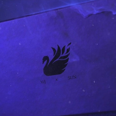 Black Swan (블랙 스완) by SUN x MJ