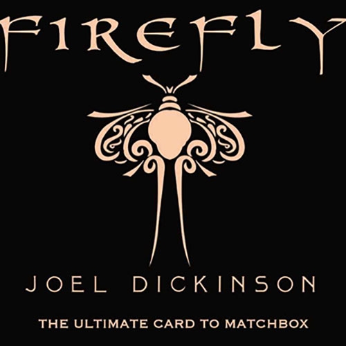 Firefly (파이어플라이) by Joel Dickinson