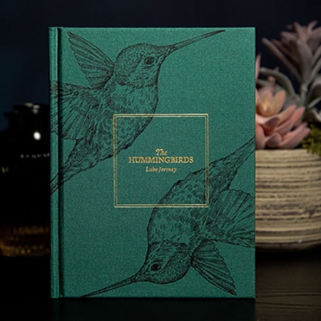 The Hummingbirds (더 허밍버드) by Luke Jermay