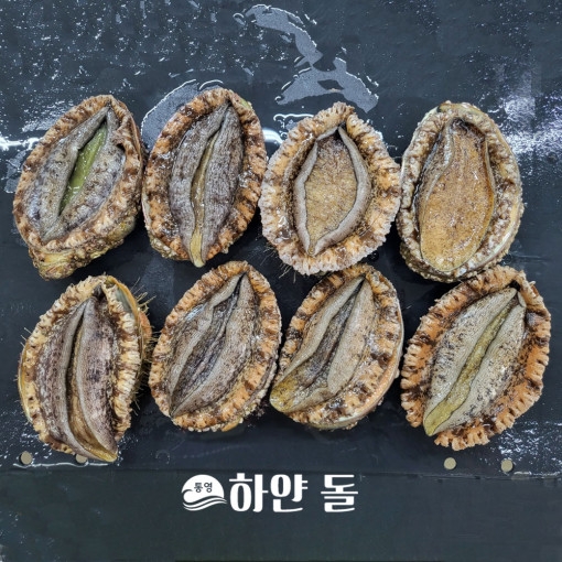 통영 해녀가 직접 채취하는 자연산 활 전복 1kg