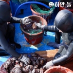 통영 해녀가 직접 채취하는 자연산 활 전복 1kg