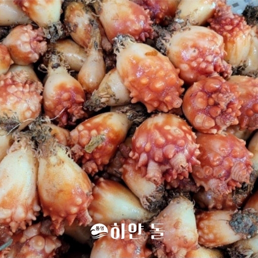 통영 멍게 손질멍게 1kg