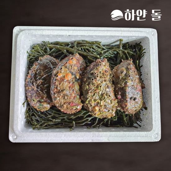 해녀가 직접 채취하는 자연산 활 전복 선물세트 1kg