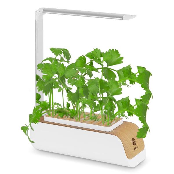 레벤트 PP310 가정용 스마트팜 친환경 식물 수경 재배기 거실화분 실내 가습 공기정화
