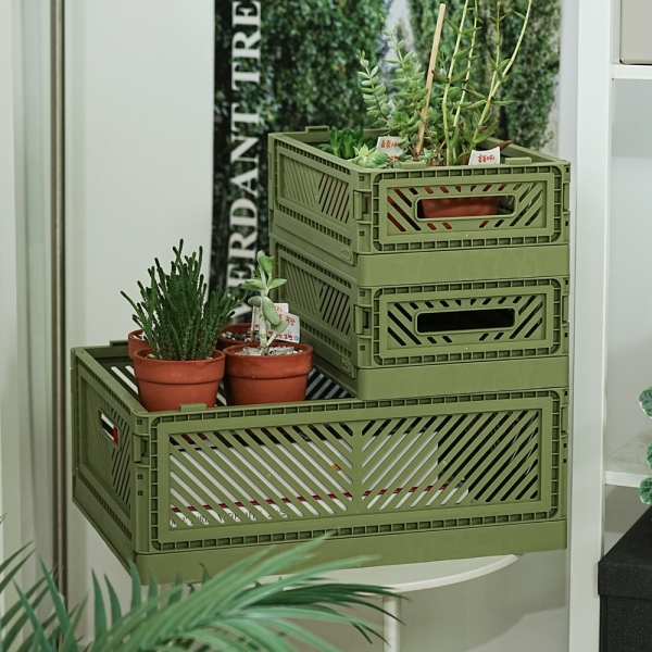 비숨 프리미엄 폴딩박스 미니세트 3개 구성