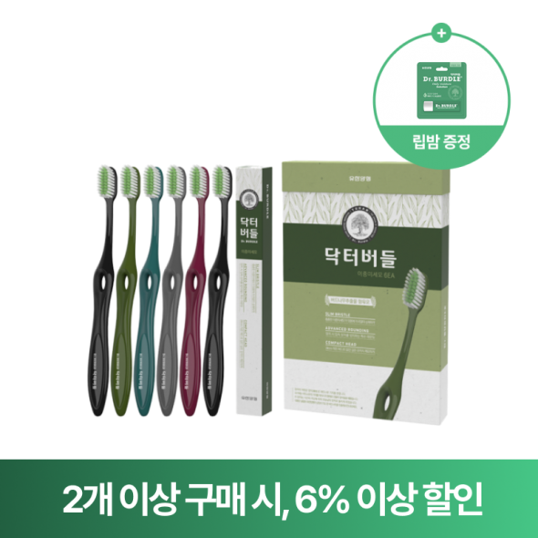 닥터버들 이중미세모 칫솔 6개입