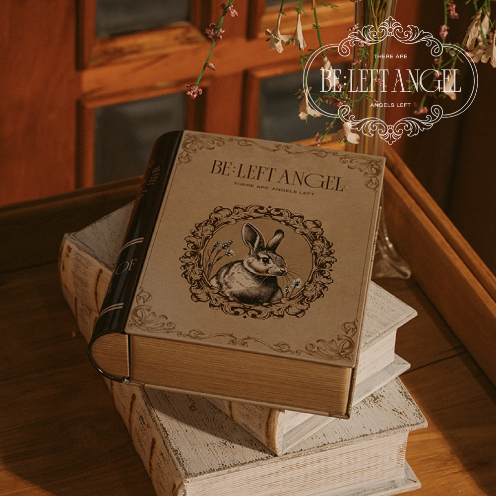 [출산선물] 비리프엔젤 오가닉 배냇저고리 보관함 배내박스 탯줄보관함