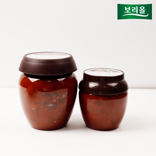 보리올 옥당골장류 국산 전통 재래식 보리 집 집장 1kg