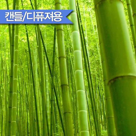 대나무캔들 F.O (Bamboo)