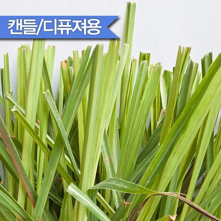 씨트로넬라캔들 F.O (Citronella)