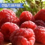 스윗 라즈베리 캔들 F.O (Sweet Raspberry)