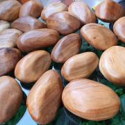 통나무자갈(나무자갈 wood pebble)