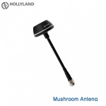 [Hollyland] Mushroom Andena 1ea