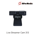 Live Streamer Cam 313  [PW313]