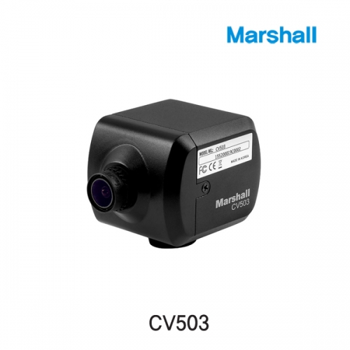 [Marshall] CV503