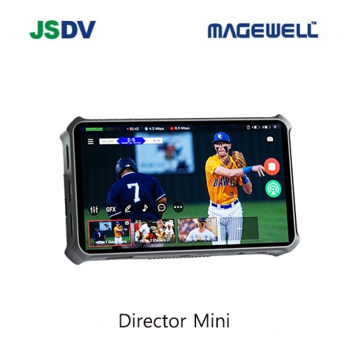 Director Mini