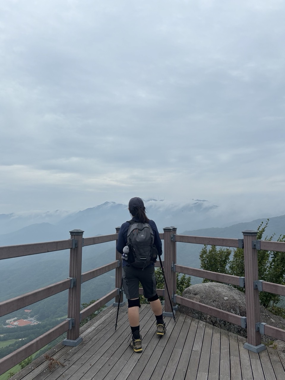 24073910-3C96-40D8-870B-C7CDE370EDA6.jpeg