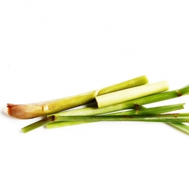 레몬그라스 에센셜 오일 ( Lemongrass E.O)